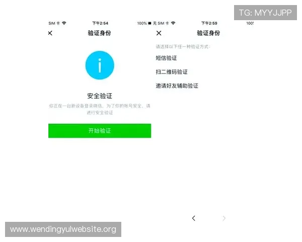 问鼎官网app登录入口安全登录技巧及账号保护措施全面解析